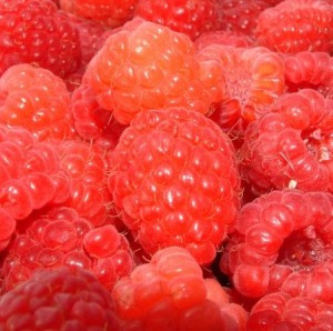 Nootka Raspberry