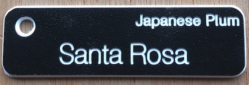 Japanese Plum Orchard Labels