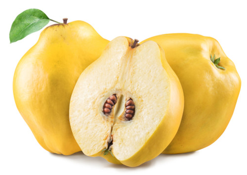 Powell’s Prize Quince