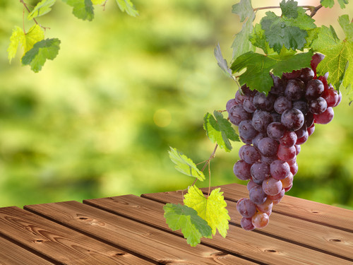 Brown Muscat (Muscat Rouge) Grape