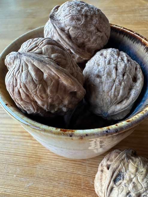 Serr Walnut