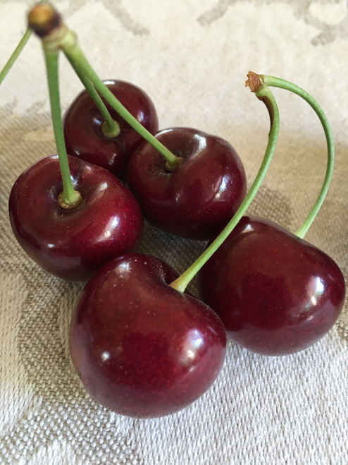 Lapins Cherry