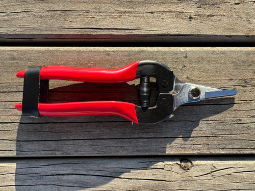 STRAIGHT-BLADE SNIPS