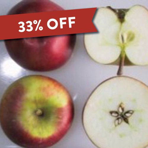 Geeveston Fanny Apple (dwarf)