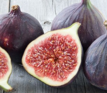 St Dominique Violette Fig