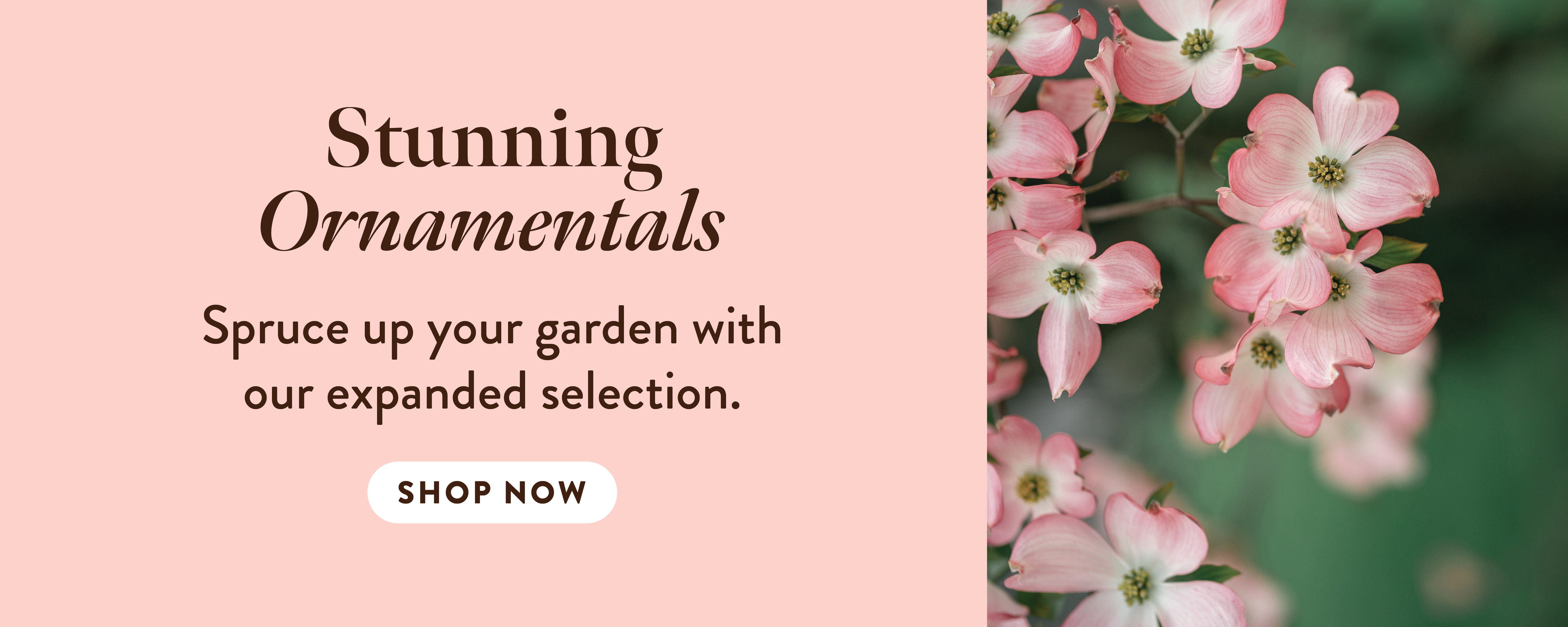 Heritage Fruit Trees