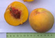 Pullar's Cling Peach