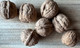 Tulare Walnut