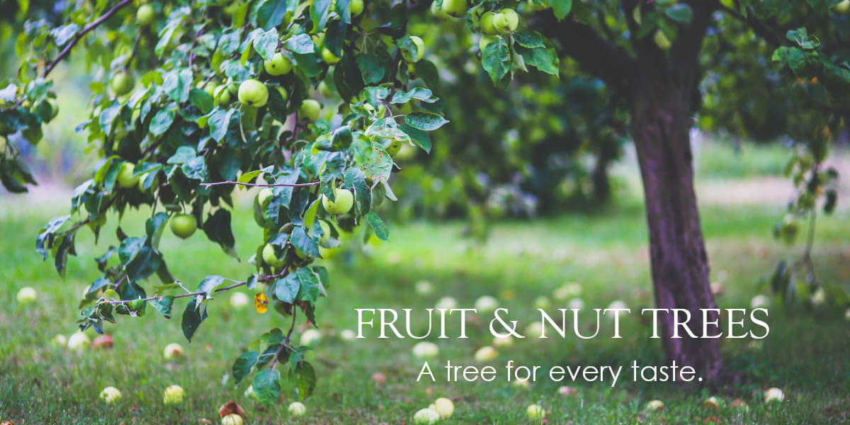 Heritage Fruit Trees