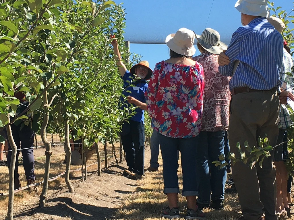 Summer Pruning Workshop (half day) - Heritage Fruit Trees