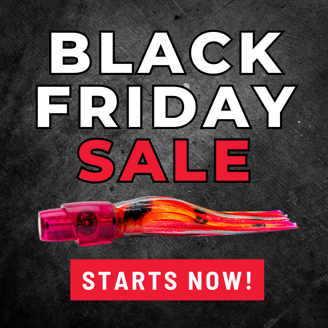 black-friday-24-01.png