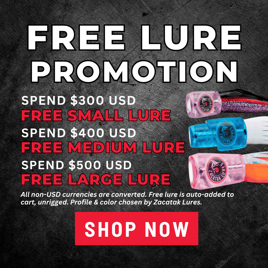 Lure Promotion 2024