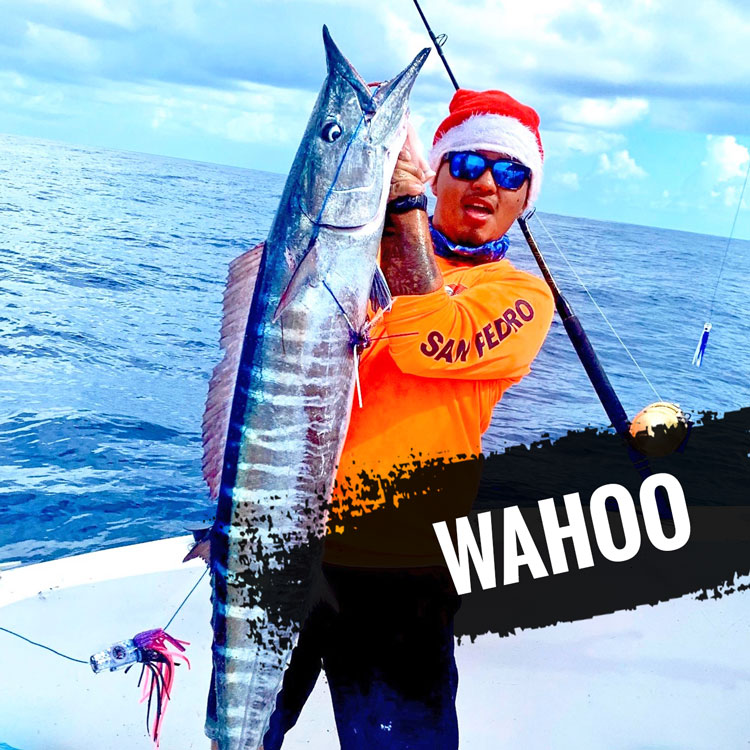 Wahoo Lures