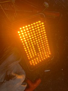 Clearance 600 Series 5MM AMBER Steady Burn (Dead leds)