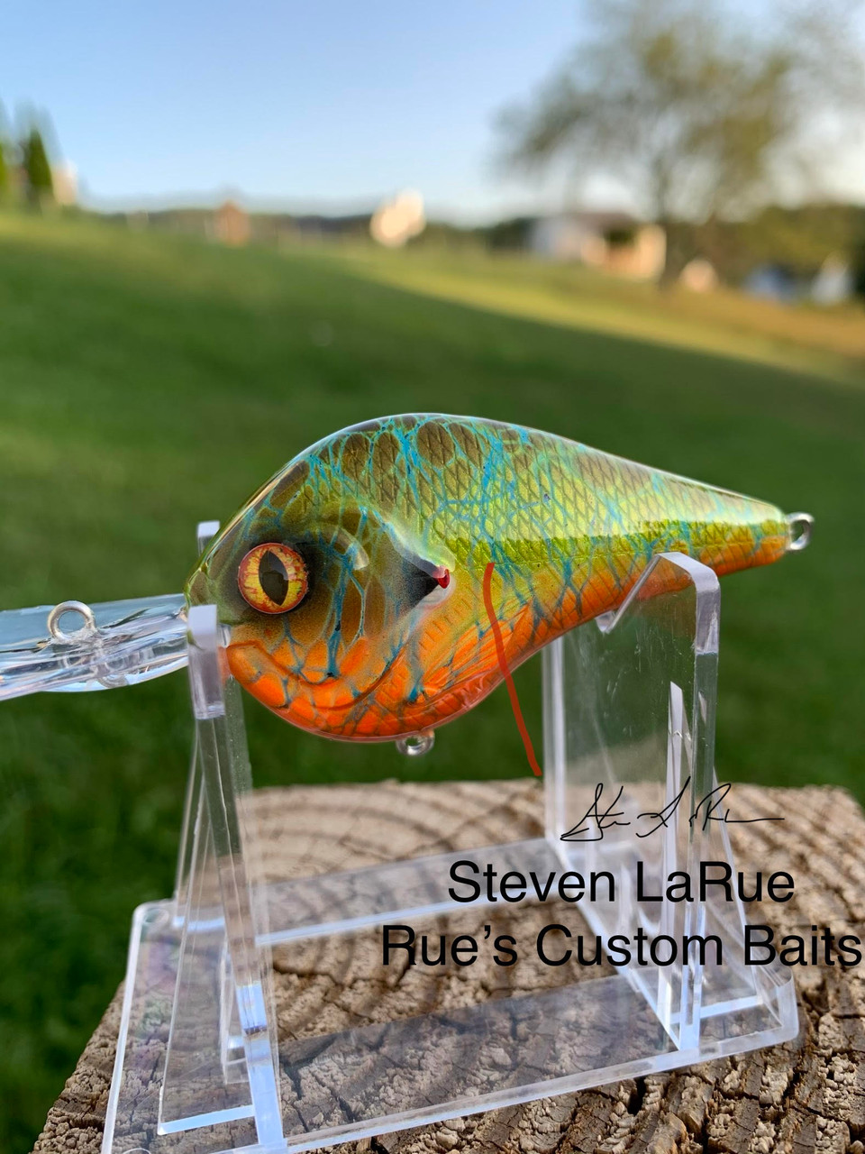 Medium Diver Dt Style Crank Bait Body Cedar Run Outdoors