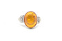 Spiral Amber Cast Setting 925 Sterling Silver Ring Size 8