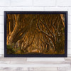 Early Morning Dark Hedges Antrim Brown Autumn Colours Avenue Armoy Art Print