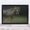 Ghost Shine Abstract Hazy Blur Horse White Sunlight Speed Gallop Wall Art Print