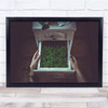 Avoir La Main Verte Grow Growing Green Earth Environment Drawer Wall Art Print
