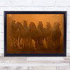 Evening Ride Horses Camargue Dust Sunset Horse Group Flock Herd Wall Art Print