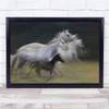 In Gallop Lipicanci Icm Horse Horses Filly Foal Cute Baby Small Wall Art Print