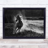 Take Off B&W Horse Animal Running Gallop Dust Action Race Speed Wall Art Print