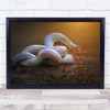 The White Legend Snake Animal Poison Poisonous Danger Dangerous Wall Art Print