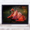 Animal Animals Bird Birds Red Pink Spray Water Splash Flamingo Wall Art Print