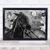 Splash Horse Horses Animal B&W Spray Water Shower Wash Washing Wall Art Print