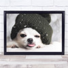 Yah Boo Dog Chihuahua Pet Animal Tongue Winter Cap Snow White Wall Art Print