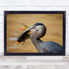 Animals Wildlife Wild Nature Photography Bird Pray Fish Gray Wall Art Print