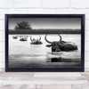 Don't Follow Me Ox Oxen Cow Cows Animal Animals Cattle Horns Wall Art Print
