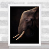 Elephant Elephants Tusk Tusks Wise Wisdom Animal Animals Eye Wall Art Print