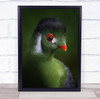 Enchanting Animals Exotic Green Bird Captive Animal Close Up Wall Art Print