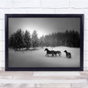 Horse Horses Trees B&W Snow Winter Cold Frost Frozen Paddock Wall Art Print