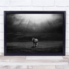 Morning Appearance Horse Animal Slovakia Field B&W Backlight Wall Art Print