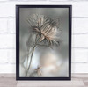 Source Of Life Flower Thistle Flowers Flora Floral Botanical Wall Art Print