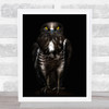 Horus Falcon Bird Birds Of Prey Eyes Animal Animals Low Key Wall Art Print