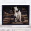 The Student Dogs Animals Dog Studio Read Reading Book Books Wall Art Print