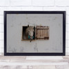Ventania Horse Stallion Lusitano Window Horses Humor Humour Wall Art Print