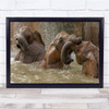 Bath Time Play Elephant Water Spain Elephants Trunks Spray Wall Art Print