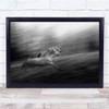 Synchro Ljubno Horse Horses Run Running Motion Blur Blurry Wall Art Print