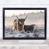 Highlander And Calf Highland Cow Baby Cute Animal Animals Wall Art Print