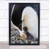 Mom, I Cannot Wait Adelie Penguin Baby Egg Waiting Family Wall Art Print