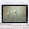 On The Way Macro Bee Flower Flora Nature Drop Drops Water Wall Art Print