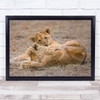 The Love Lion Happy Playing Lovely Comfort Kenya Feeling Wall Art Print