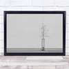 The Tree Berlin Cage B&W Germany Street Abstract Lonely Wall Art Print