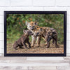 Baby Hyena Hyenas Animal Animals Cute Cub Young Bokeh Wall Art Print