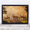 Deer On Path Veluwe Veluwezoom Sunrise Deelerwoud Fog Wall Art Print
