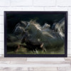 Gallop Horse Horses Run Running Stress Animals Animal Wall Art Print